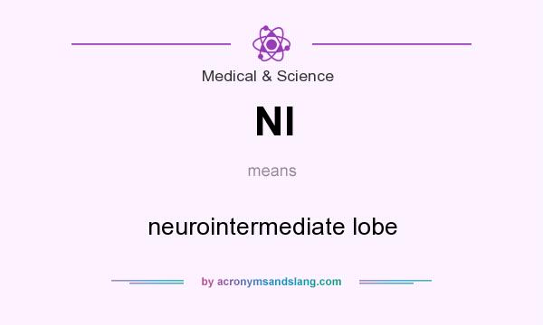 What does NI mean? It stands for neurointermediate lobe
