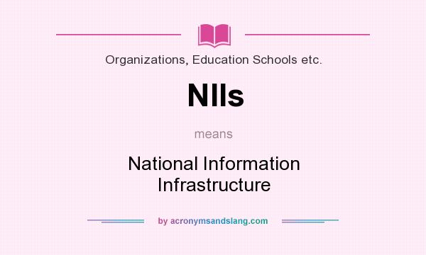 What does NIIs mean? It stands for National Information Infrastructure