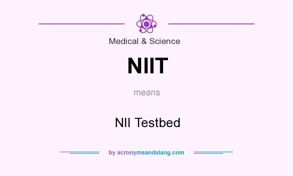 What does NIIT mean? It stands for NII Testbed