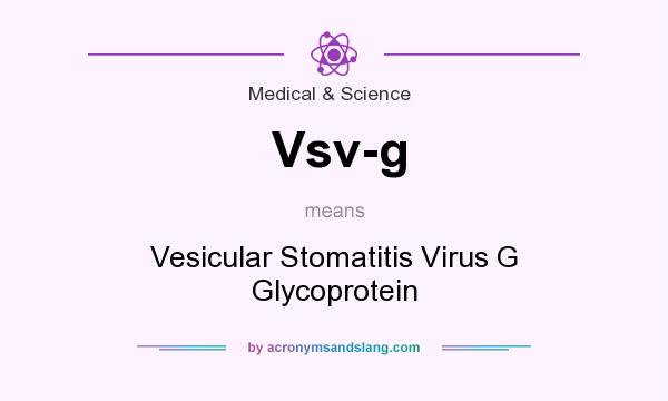 What does Vsv-g mean? It stands for Vesicular Stomatitis Virus G Glycoprotein