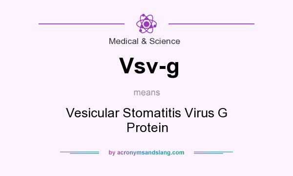 What does Vsv-g mean? It stands for Vesicular Stomatitis Virus G Protein