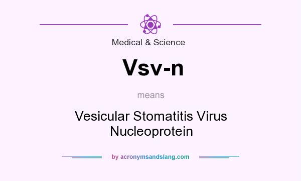 What does Vsv-n mean? It stands for Vesicular Stomatitis Virus Nucleoprotein