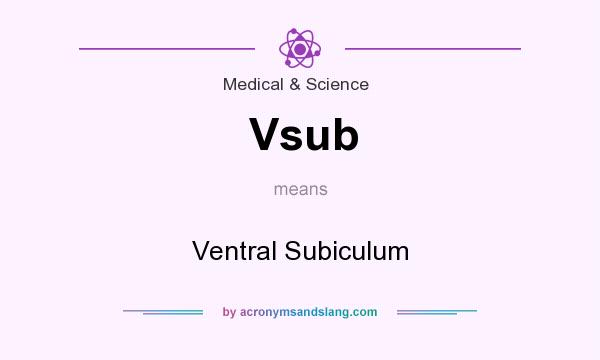 What does Vsub mean? It stands for Ventral Subiculum