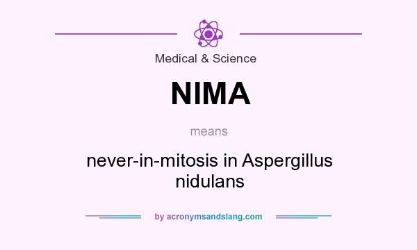 What does NIMA mean? It stands for never-in-mitosis in Aspergillus nidulans