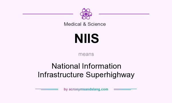What does NIIS mean? It stands for National Information Infrastructure Superhighway