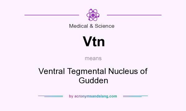 What does Vtn mean? It stands for Ventral Tegmental Nucleus of Gudden