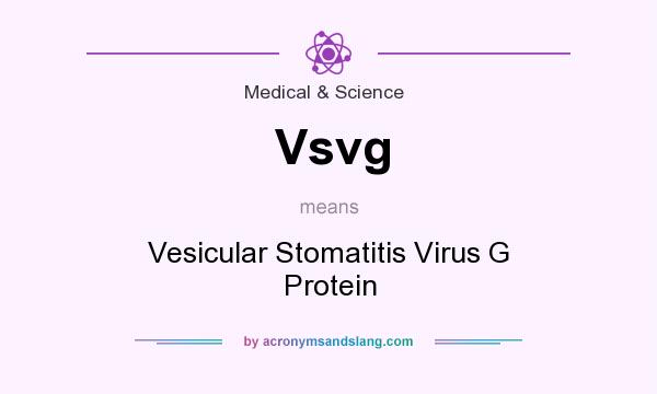 What does Vsvg mean? It stands for Vesicular Stomatitis Virus G Protein