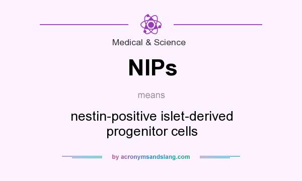 What does NIPs mean? It stands for nestin-positive islet-derived progenitor cells
