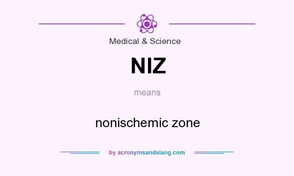 What does NIZ mean? It stands for nonischemic zone