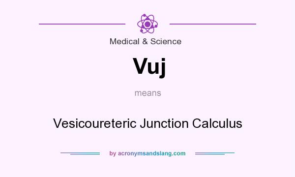 What does Vuj mean? It stands for Vesicoureteric Junction Calculus