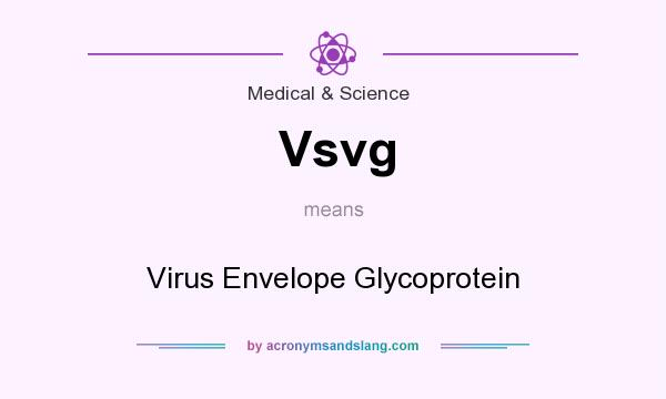 What does Vsvg mean? It stands for Virus Envelope Glycoprotein