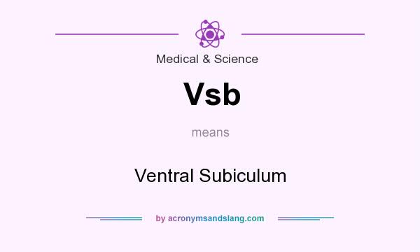 What does Vsb mean? It stands for Ventral Subiculum
