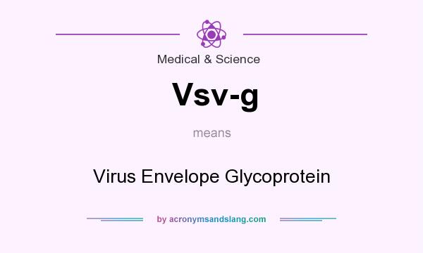 What does Vsv-g mean? It stands for Virus Envelope Glycoprotein