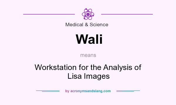 What does Wali mean? It stands for Workstation for the Analysis of Lisa Images