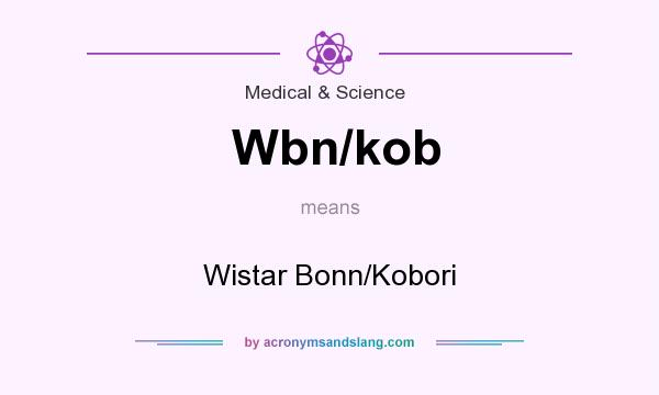 What does Wbn/kob mean? It stands for Wistar Bonn/Kobori