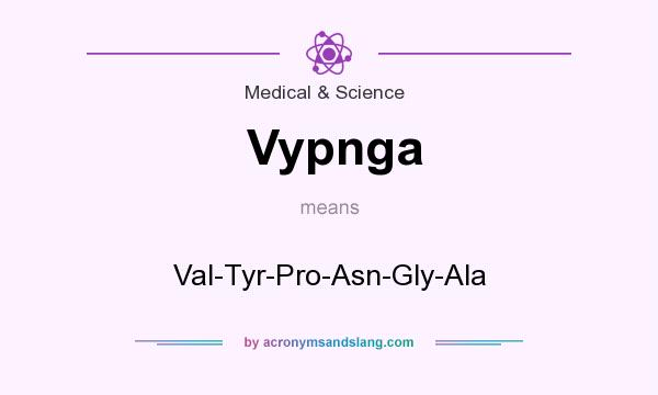 What does Vypnga mean? It stands for Val-Tyr-Pro-Asn-Gly-Ala