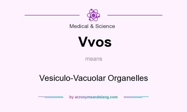 What does Vvos mean? It stands for Vesiculo-Vacuolar Organelles