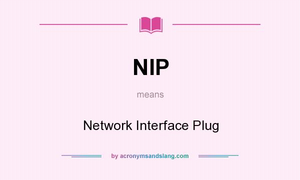 What does NIP mean? It stands for Network Interface Plug