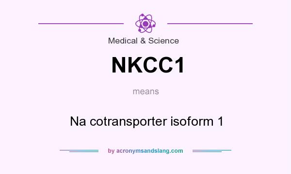What does NKCC1 mean? It stands for Na cotransporter isoform 1