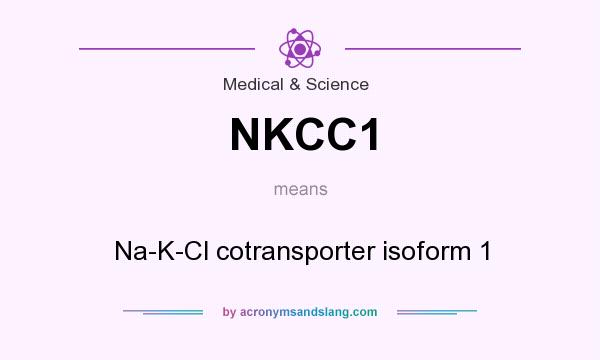 What does NKCC1 mean? It stands for Na-K-Cl cotransporter isoform 1