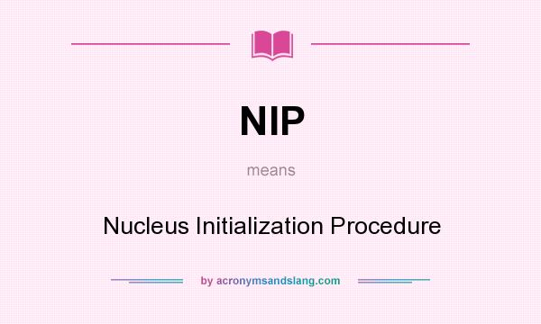 What does NIP mean? It stands for Nucleus Initialization Procedure