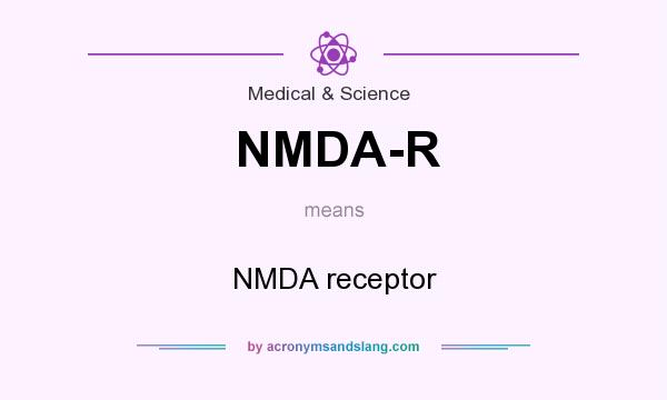 What does NMDA-R mean? It stands for NMDA receptor