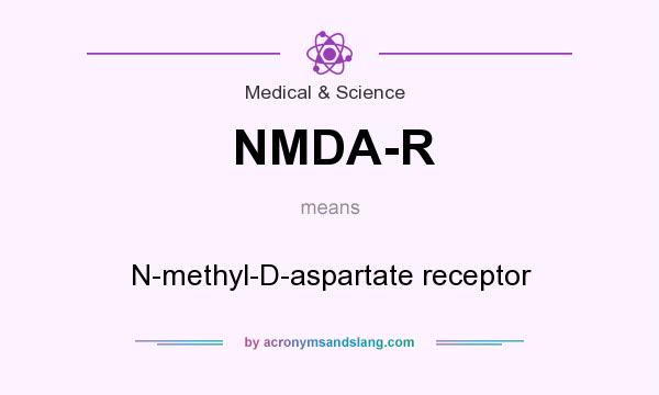 What does NMDA-R mean? It stands for N-methyl-D-aspartate receptor