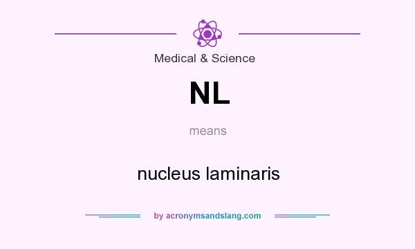 What does NL mean? It stands for nucleus laminaris
