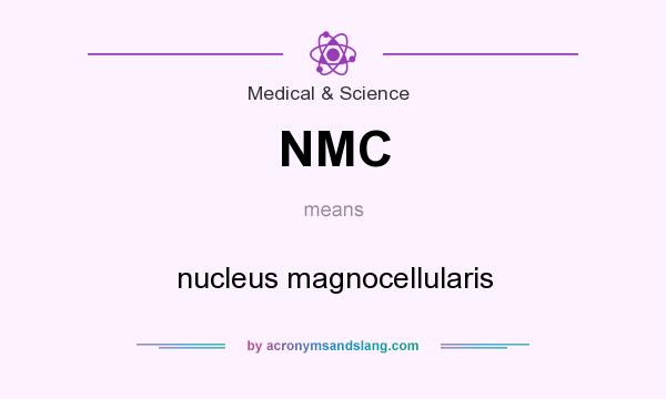 What does NMC mean? It stands for nucleus magnocellularis
