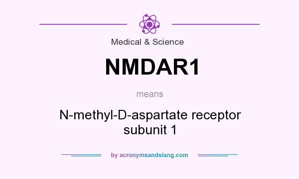 What does NMDAR1 mean? It stands for N-methyl-D-aspartate receptor subunit 1