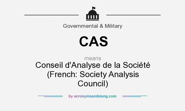 What does CAS mean? It stands for Conseil d`Analyse de la Société (French: Society Analysis Council)