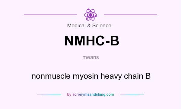 What does NMHC-B mean? It stands for nonmuscle myosin heavy chain B