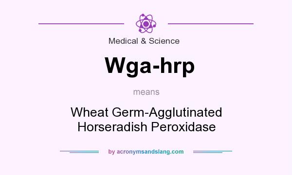 What does Wga-hrp mean? It stands for Wheat Germ-Agglutinated Horseradish Peroxidase