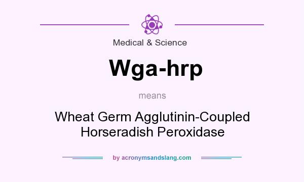 What does Wga-hrp mean? It stands for Wheat Germ Agglutinin-Coupled Horseradish Peroxidase