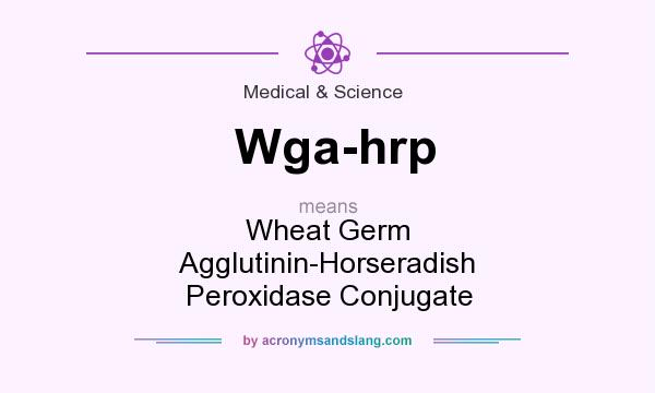 What does Wga-hrp mean? It stands for Wheat Germ Agglutinin-Horseradish Peroxidase Conjugate