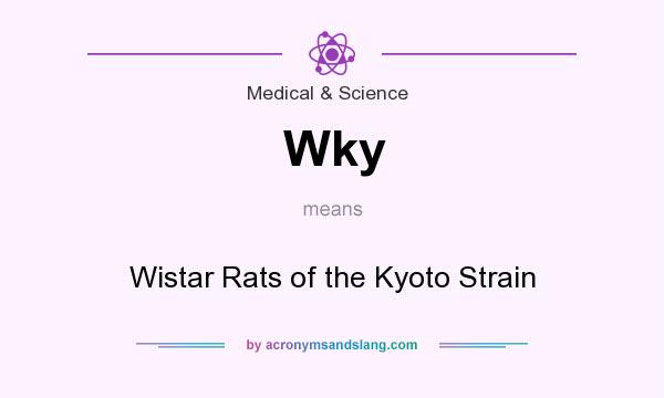 What does Wky mean? It stands for Wistar Rats of the Kyoto Strain