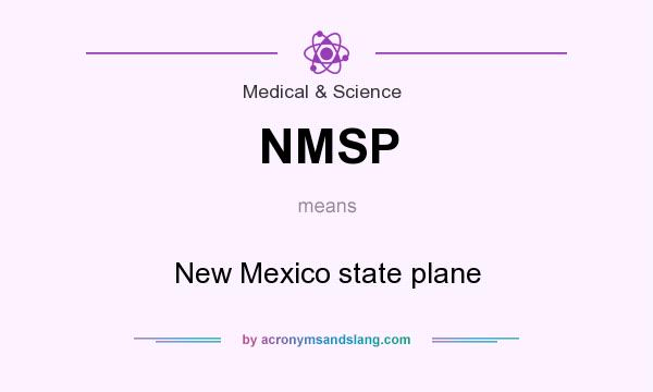 What does NMSP mean? It stands for New Mexico state plane