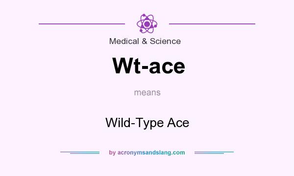What does Wt-ace mean? It stands for Wild-Type Ace