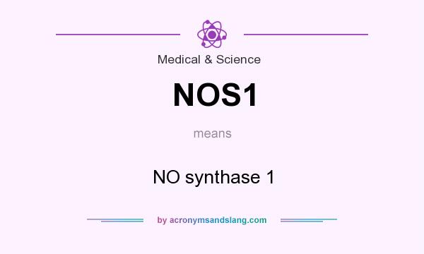 What does NOS1 mean? It stands for NO synthase 1