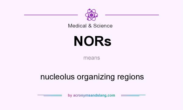 What does NORs mean? It stands for nucleolus organizing regions
