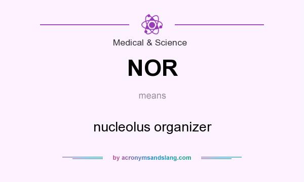 What does NOR mean? It stands for nucleolus organizer