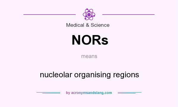 What does NORs mean? It stands for nucleolar organising regions