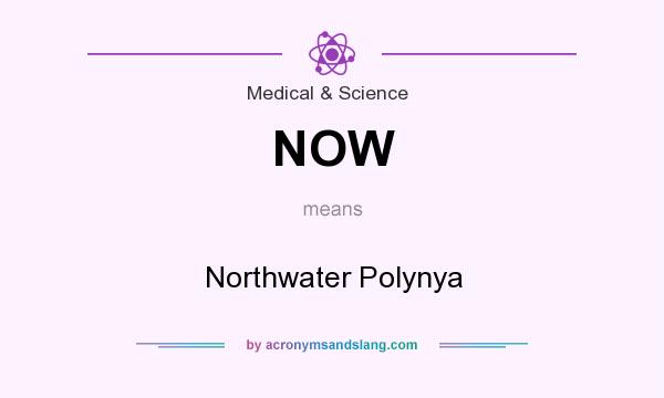 What does NOW mean? It stands for Northwater Polynya