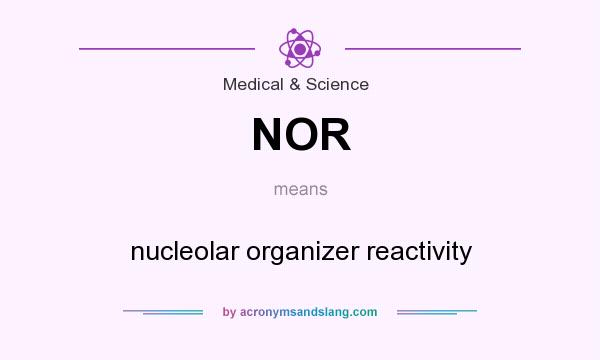 What does NOR mean? It stands for nucleolar organizer reactivity