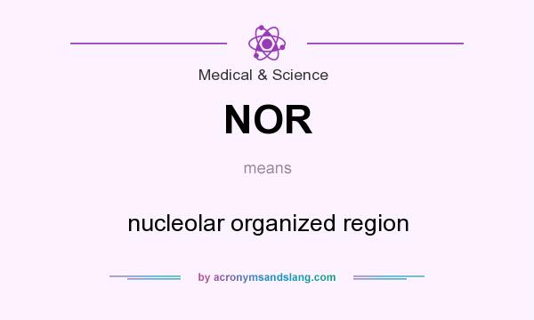 What does NOR mean? It stands for nucleolar organized region