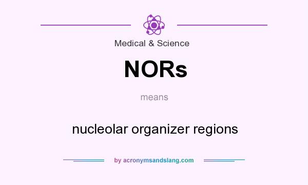 What does NORs mean? It stands for nucleolar organizer regions