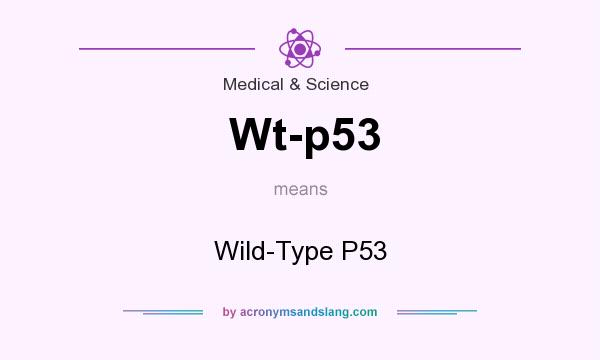 What does Wt-p53 mean? It stands for Wild-Type P53
