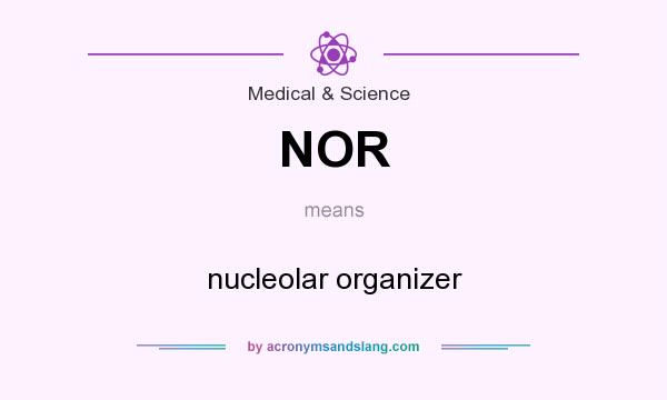 What does NOR mean? It stands for nucleolar organizer