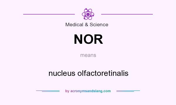 What does NOR mean? It stands for nucleus olfactoretinalis