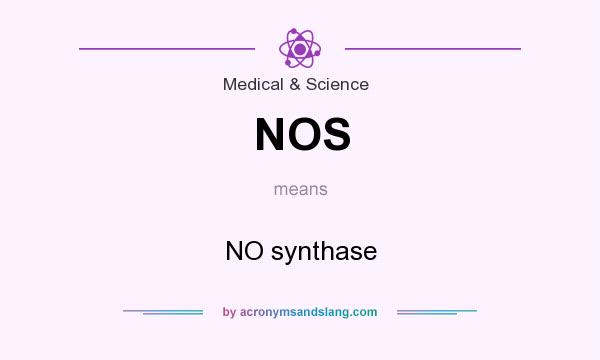 What does NOS mean? It stands for NO synthase